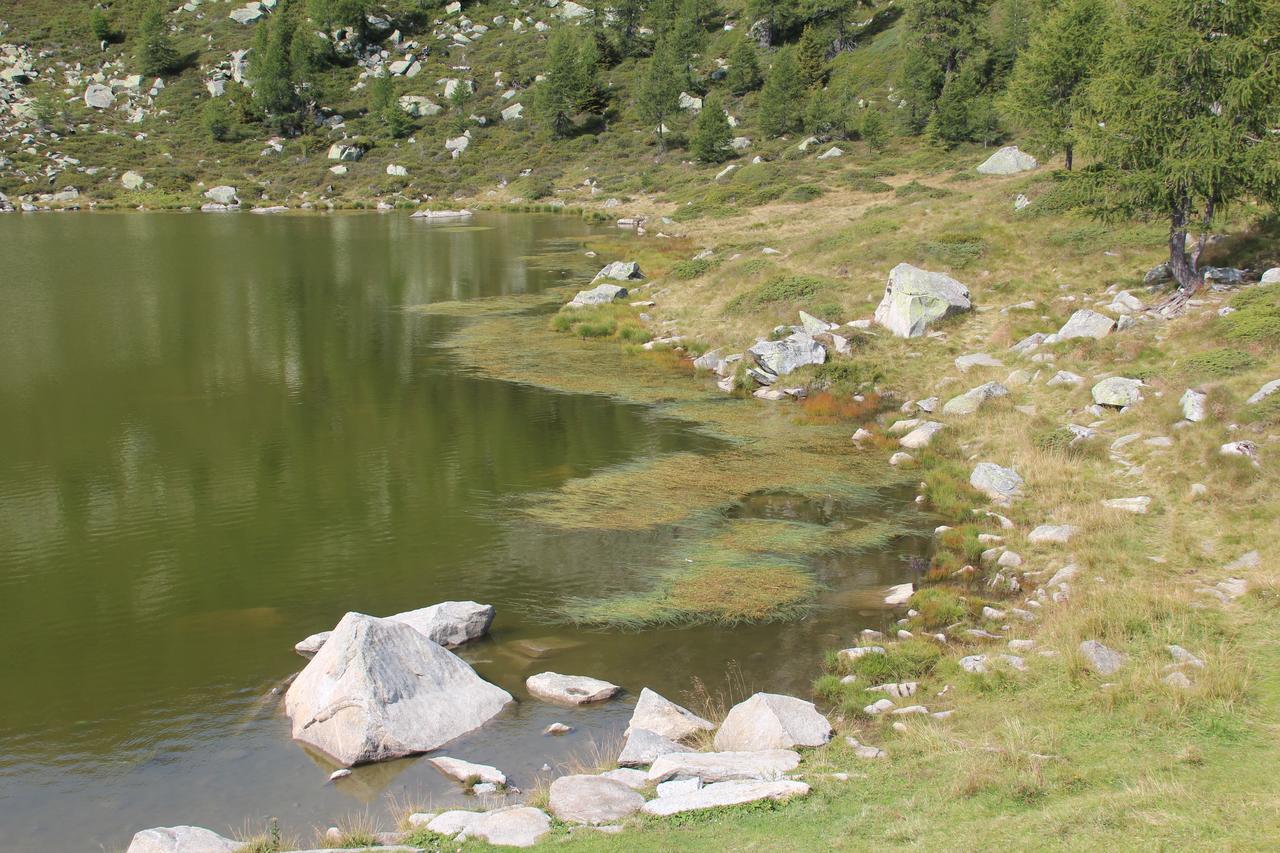 Rifugio Viviani Pradalago Madonna Exterior foto