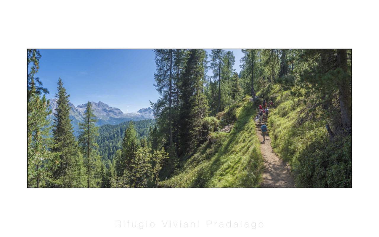 Rifugio Viviani Pradalago Madonna Exterior foto