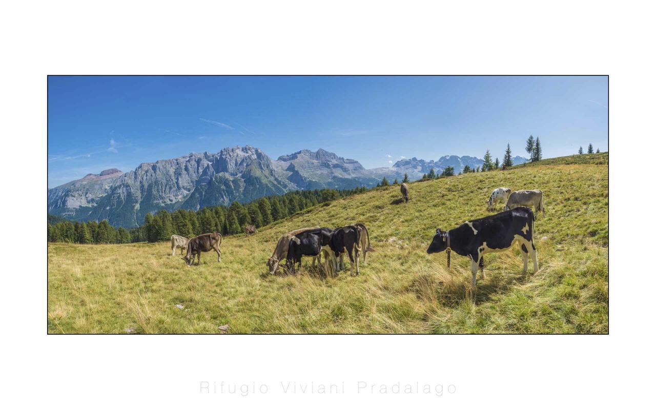 Rifugio Viviani Pradalago Madonna Exterior foto